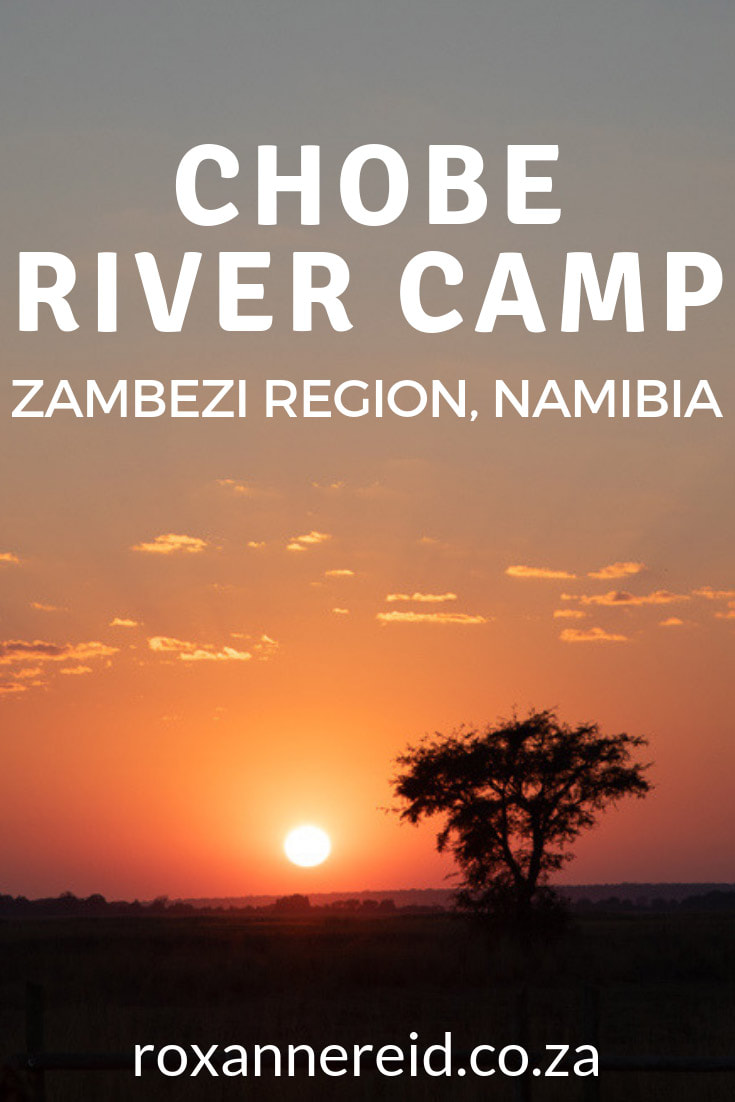 Did you know you can visit Chobe National Park from the Namibian side of the river? Choose Chobe River Camp in the Zambezi Region Namibia (formerly Caprivi) as your Namibia accommodation; it’s only 4km from the Ngoma border post into Botswana. Visit Chobe National Park, Victoria Falls, enjoy a Chobe River cruise, nature walk, canoeing, fishing and birding. #Chobe River #ZambeziRegionNamibia #Capriviaccommodation