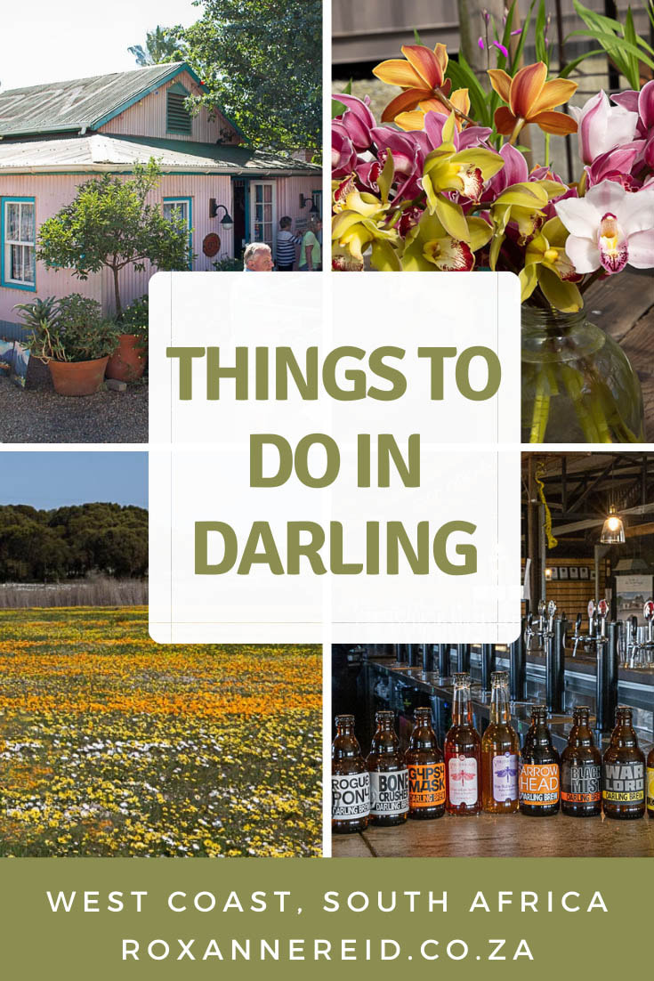 Planning to visit Darling on the West Coast? Find out the best time to visit Darling and the best things to do there, from spring flowers and olive tasting to Darling wine tasting and craft beer. Discover which Darling restaurants to visit, why to visit Evita se Perron and where to stay in Darling accommodation. There are suggestions for what to do in the wider area too.