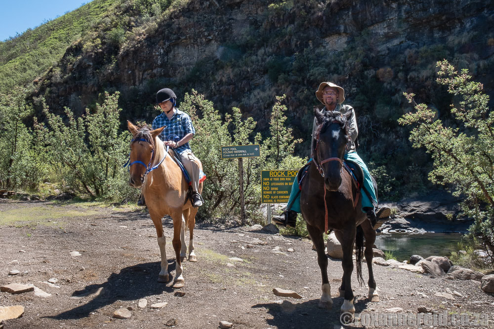 Things to do at Maliba Lodge: pony trekking Lesotho