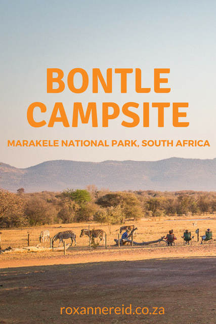 Why to stay at Bontle Campsite in Marakele National Park #SouthAfrica #safari #travel
