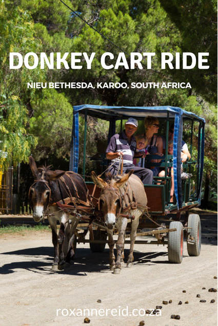 Donkey cart ride around Nieu Bethesda village in the Karoo #SouthAfrica #travel