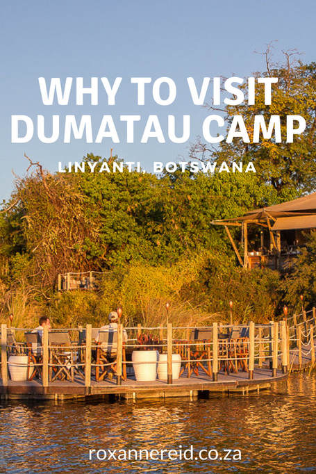Why to visit DumaTau Camp, Linyanti, Botswana #DumaTau #Linyanti #Botswana