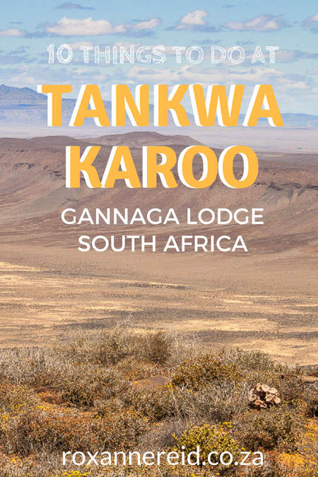 Gannaga Lodge at the top of Gannaga Pass in the Tankwa Karoo National Park is remote, but there are lots of things to do in the Tankwa Karoo. See wild flowers in spring, go on a game drive, see the Gannaga gorge, drive Gannaga Pass, visit the town of Middelpos, go for a swim or enjoy an evening of star-gazing. #Tankwa #Karoo #Gannaga