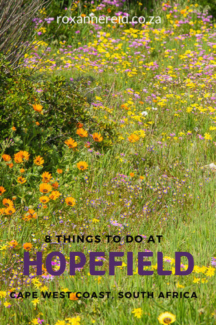 Things to do at Hopefield on the Cape West Coast #SouthAfrica #travel #WestCoast