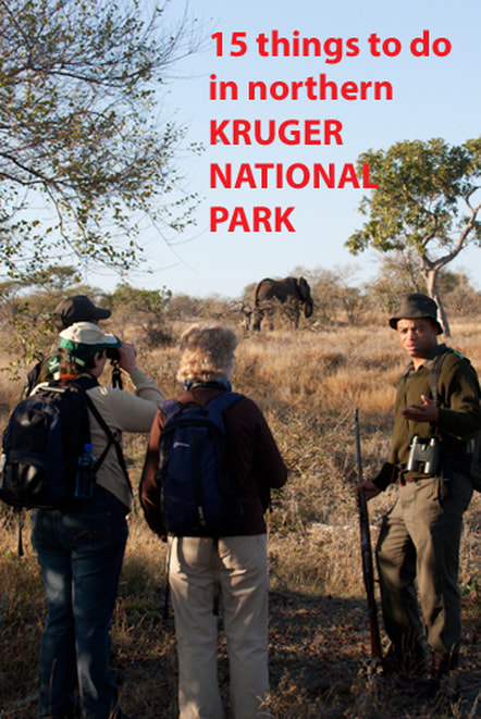 15 things to do in northern Kruger National Park