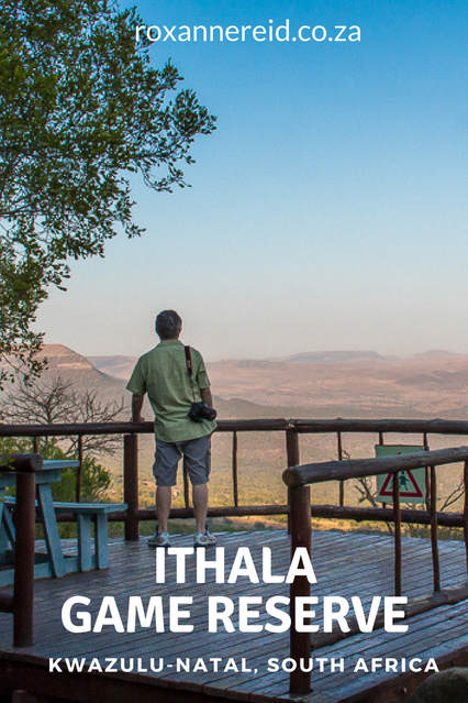 How to fall in love with Ithala Game Reserve, KwaZulu-Natal #SouthAfrica #travel #safari