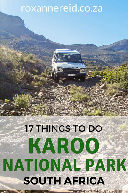 In the dry Karoo heartland of South Africa, a wealth of geology, fossils, animals and landscapes lie waiting to be explored. Here are 17 things to do in the Karoo National Park, South Africa #SouthAfrica #karoopark #karoo #nature #KarooNationalPark #beaufortWest