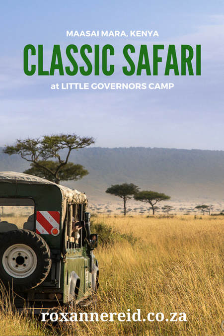 Classic safari, Little Governors Camp, Maasai Mara, Kenya