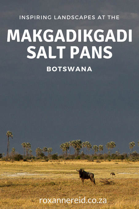 Makgadikgadi, Botswana: like being on the moon #Makgadikgadi #Botswana #moonscape