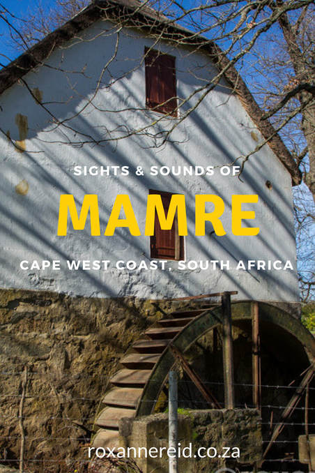 Sights & sounds of Mamre historical village, Cape West Coast #SouthAfrica #travel #heritage #mamre