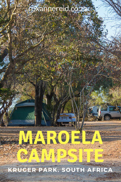 Why to visit Maroela Campsite at Kruger National Park #SouthAfrica #safari #camping #travel
