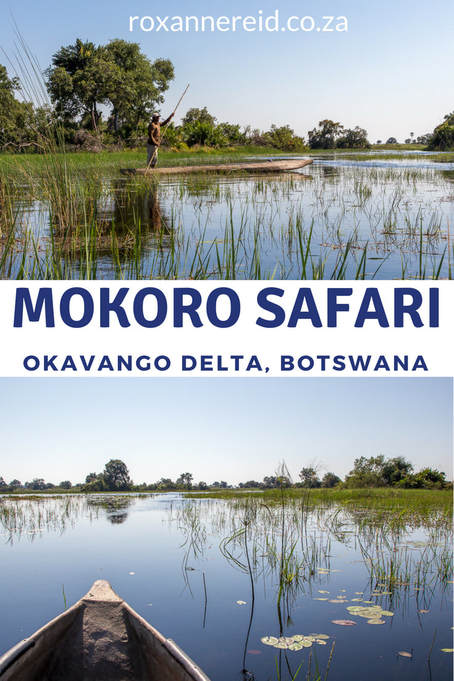 Mokoro safari, Okavango Delta, Botswana #Botswana #Okavango #mokoro