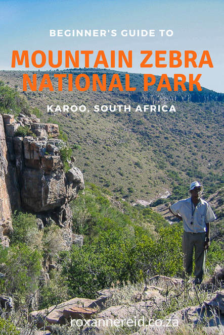 Beginner's guide to the Mountain Zebra National Park #SouthAfrica #safari #travel