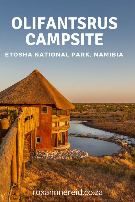 Experience camping in the western section of Etosha National Park by staying at Olifantsrus Camp, Etosha, Namibia #travel #Namibia #camping #OlifantsrusCampsite #campingNamibia #Etoshacamping #bestcampsitesinNamibia