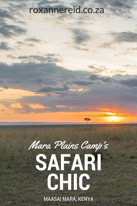 Mara Plains Camp: safari elegance in Kenya’s Maasai Mara