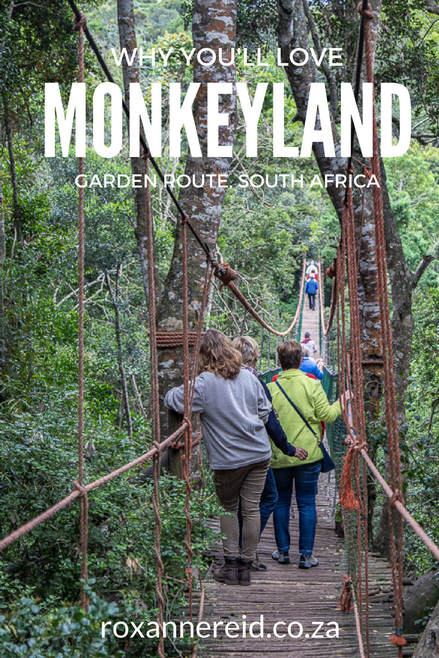 Why you'll love Monkeyland near Plettenberg Bay on the Garden Route, South Africa