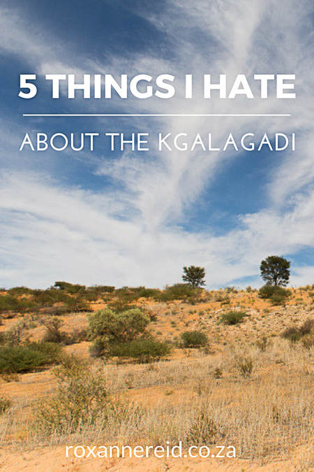5 things I hate about the Kgalagadi Transfrontier Park #Kgalagadi #Kalahari #SouthAfrica #Botswana #safari #travel