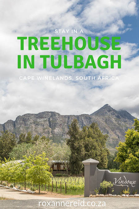 Stay in a treehouse in Tulbagh, Cape Winelands, South Africa. Go wine-tasting among the vineyards, heritage crawling, biking, hiking or enjoy a relaxing massage in the spa #Tulbagh #treehouse #CapeWinelands #SouthAfrica