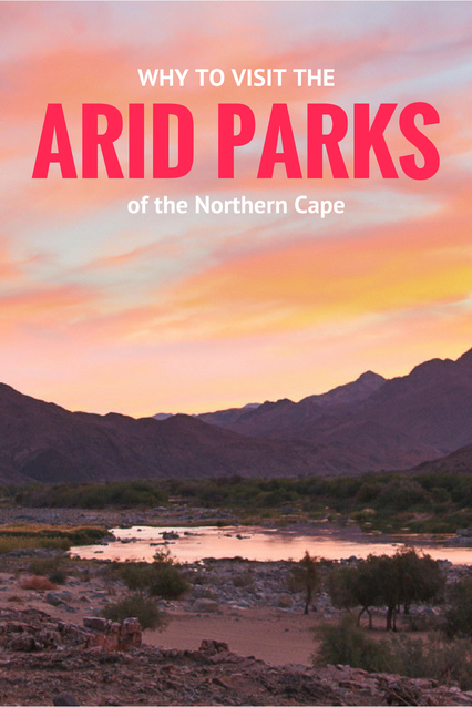 Why to visit the arid parks of the Northern Cape, South Africa - Richtersveld, Augrabies, Kgalagadi or Kalahari, Mokala and Namqualand