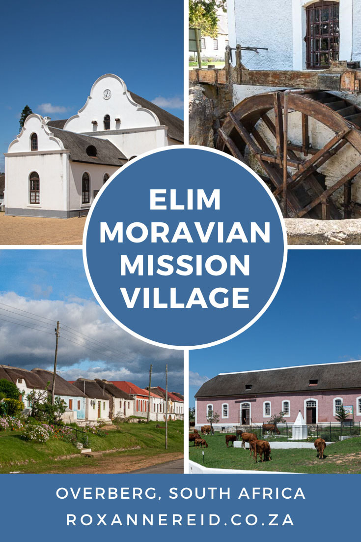 Ever wondered why to visit Moravian village of Elim, Western Cape? Discover landmarks to see like the Eim church, Elim watermill and Elim slave monument. Find out things to do in Elim, such as visiting the heritage centre, the main road of thatch and whitewashed old houses, the cemeteries. You can even go wine tasting and beer tasting in the area, as well as to restaurants and Elim accommodation.