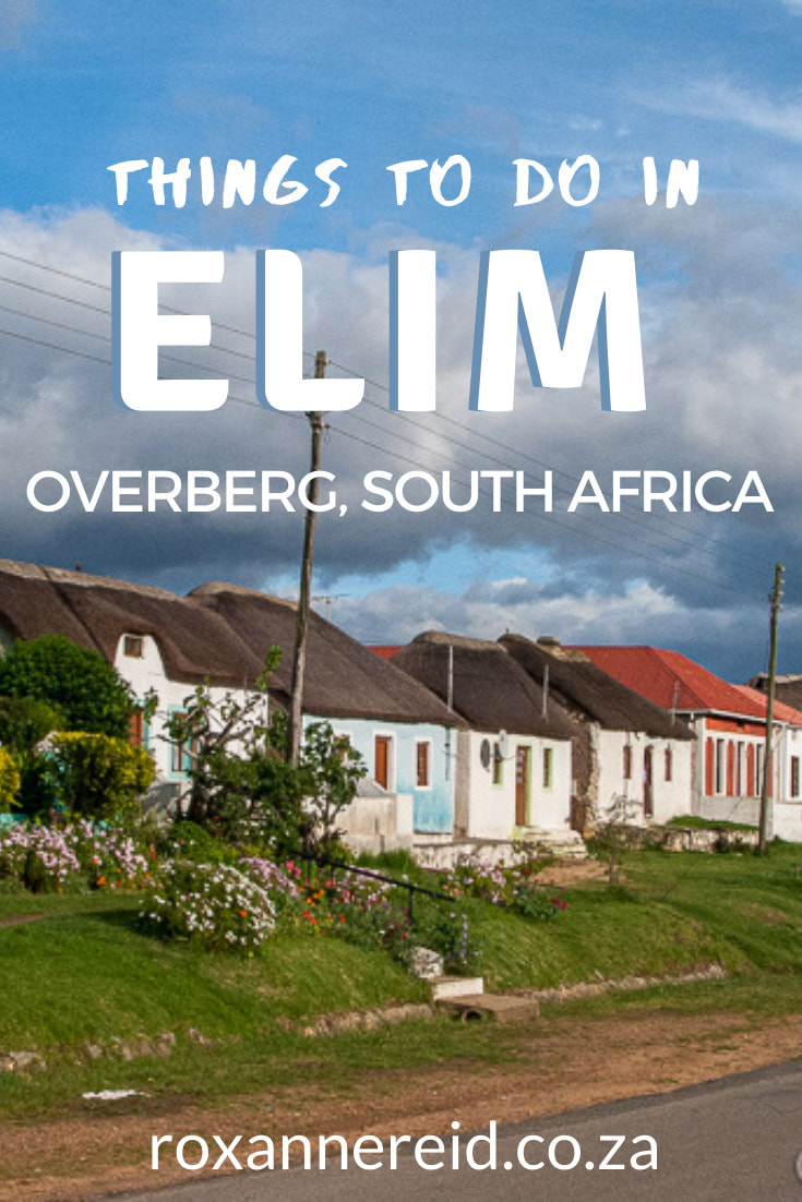 Ever wondered why to visit Moravian village of Elim, Western Cape? Discover landmarks to see like the Eim church, Elim watermill and Elim slave monument. Find out things to do in Elim, such as visiting the heritage centre, the main road of thatch and whitewashed old houses, the cemeteries. You can even go wine tasting and beer tasting in the area, as well as to restaurants and Elim accommodation.