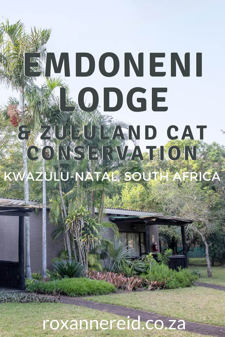 Visiting Zululand? Find Hluhluwe accommodation at Emdoneni Lodge & Spa. Base yourself here to see wildlife at Hlhluwe-Imfolozi Park, uMkuze Game Reserve and other highlights of iSimangaliso Wetland Park like Lake St Lucia, Sodwana Bay and Cape Vidal. Visit the Zululand Cat Conservation Project, walk a trail, go bird-watching, have a massage in the Emdoneni Spa. Don’t miss St Lucia boat tours with Heritage Tours & Safaris in the UNESCO World Heritage Site of iSimangaliso Wetland Park.