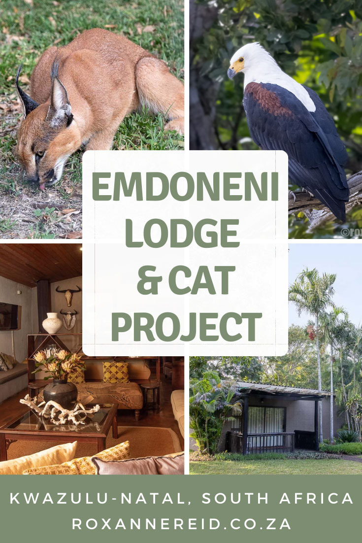Visiting Zululand? Find Hluhluwe accommodation at Emdoneni Lodge & Spa. Base yourself here to see wildlife at Hlhluwe-Imfolozi Park, uMkuze Game Reserve and other highlights of iSimangaliso Wetland Park like Lake St Lucia, Sodwana Bay and Cape Vidal. Visit the Zululand Cat Conservation Project, walk a trail, go bird-watching, have a massage in the Emdoneni Spa. Don’t miss St Lucia boat tours with Heritage Tours & Safaris in the UNESCO World Heritage Site of iSimangaliso Wetland Park.
