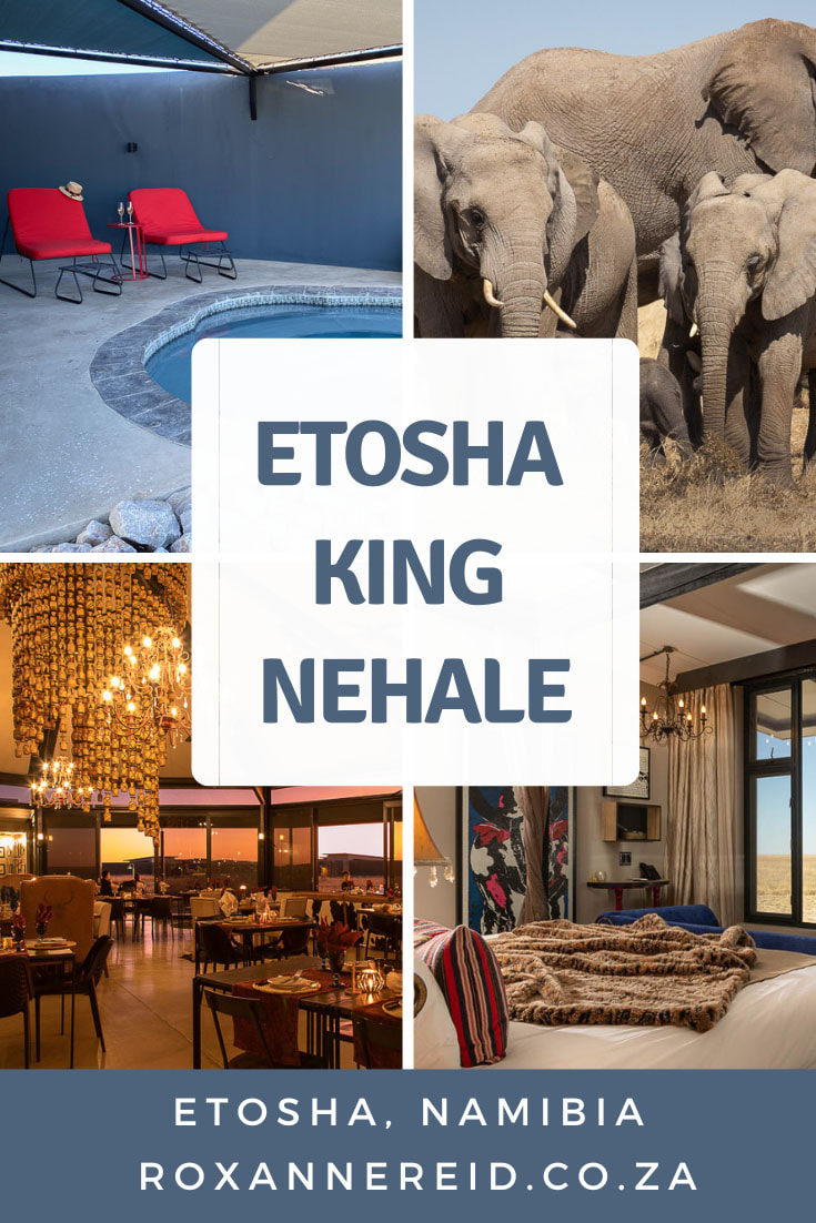 Visiting Etosha National Park? Consider staying a few nights at Etosha King Nehale just outside Nehale Gate north of Namutoni. You’ll get treated like a king and a chance to visit a private hide at a waterhole that’s not open for normal Etosha visitors. Enjoy good food with an African theme at King Nehale Lodge, self-drive into Etosha, lounge at your private plunge pool, visit a cultural village nearby, or go on a guided drive to the private hide. #GondwanaKingNehale