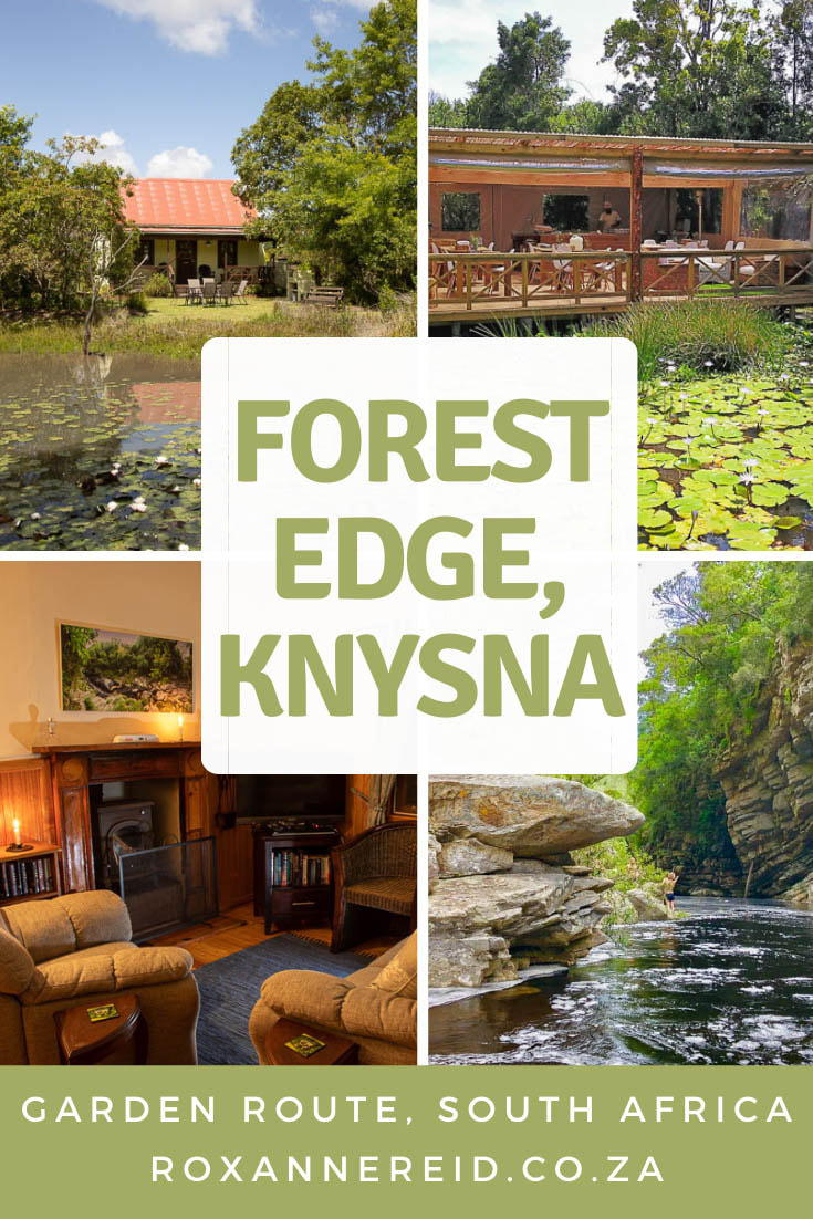 Love the Knysna Forest? Looking forself-catering accommodation in Knysna? Forest Edge, Knysna, is a nature lovers’ retreat, family friendly accommodation and perfect for adventure lovers with lots of hiking, biking and other activities nearby. Find out what to do at this Knysna accommodation, enjoy the tranquil Knysna forest accommodation, birding, hikes, cycling routes, restaurants and adrenalin activities in the area.