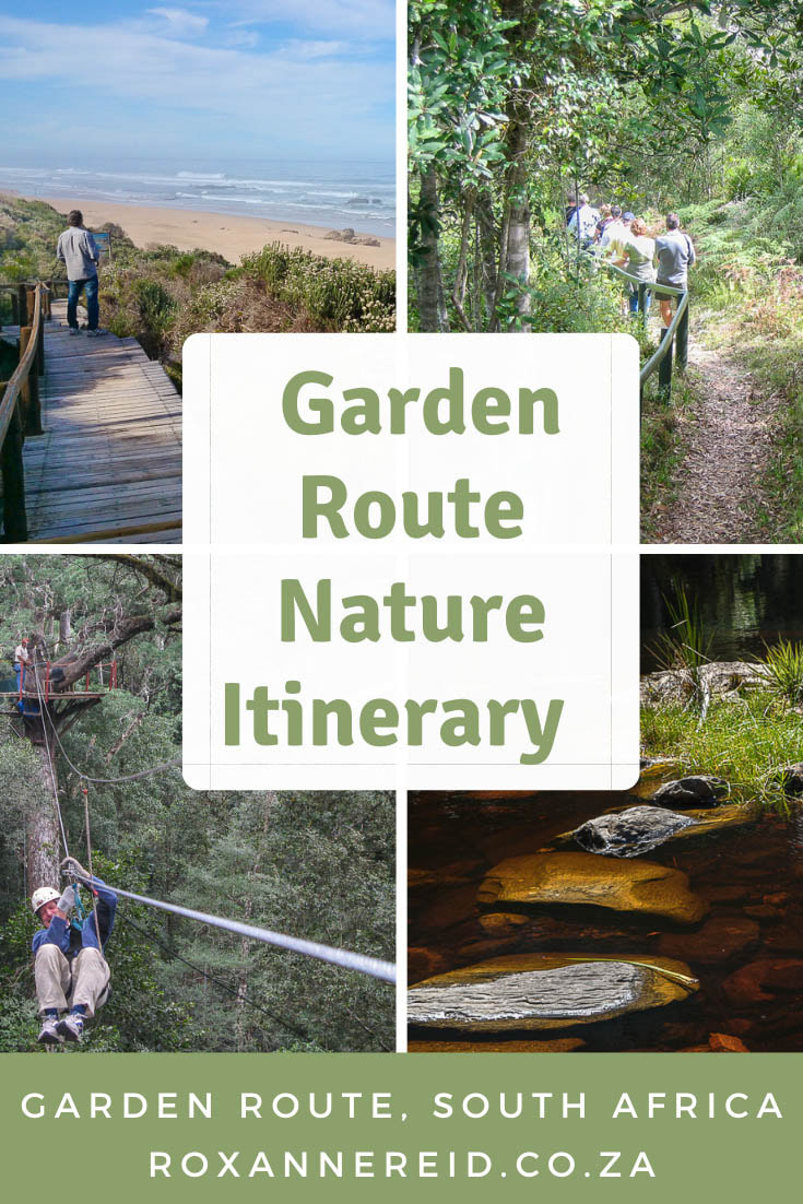 Do you get a kick from nature? You’ll love this Garden Route itinerary for nature lovers, showing highlights of the Garden Route, nature things to do on the Garden Route in Wilderness, Knysna, Tsitsikamma and the Garden Route National Park, South Africa. Pin this Garden Route South Africa itinerary for later. #gardenroute #southafrica #nature 