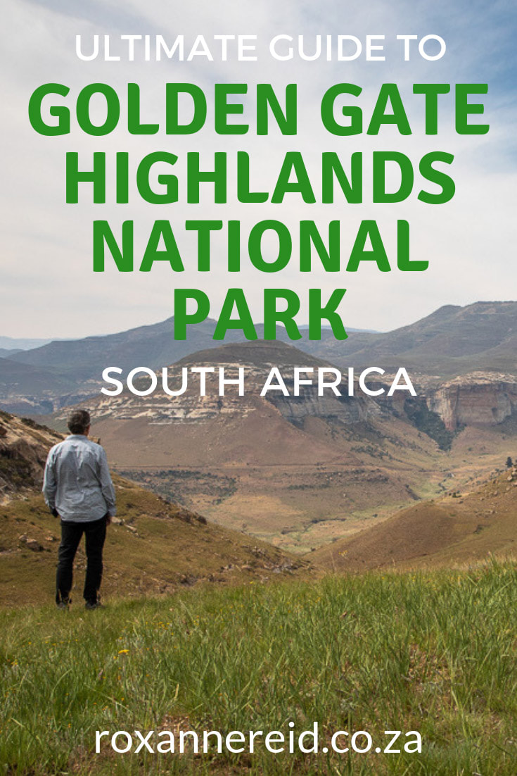 All you need to know for your visit to Golden Gate Highlands National Park in South Africa’s Free State. Find Golden Gate Highlands National park accommodation, Golden Gate Hotel Clarens, Golden Gate Clarens, Golden Gate accommodation, Basotho Cultural Village, Glen Reenen Rest Camp, Highlands Mountain Retreat and a host of things to do like hiking, horse riding, bird-watching and vulture hide, and game viewing. #FreeState #SouthAfrica
