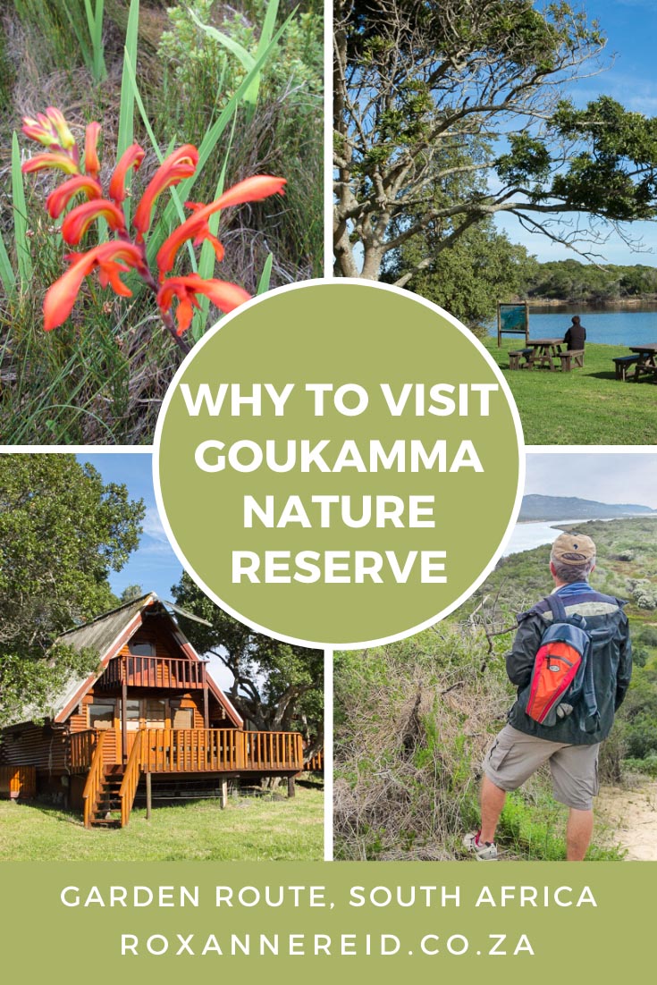 From forest to beaches at Goukamma Nature Reserve on the Garden Route #SouthAfrica #travel