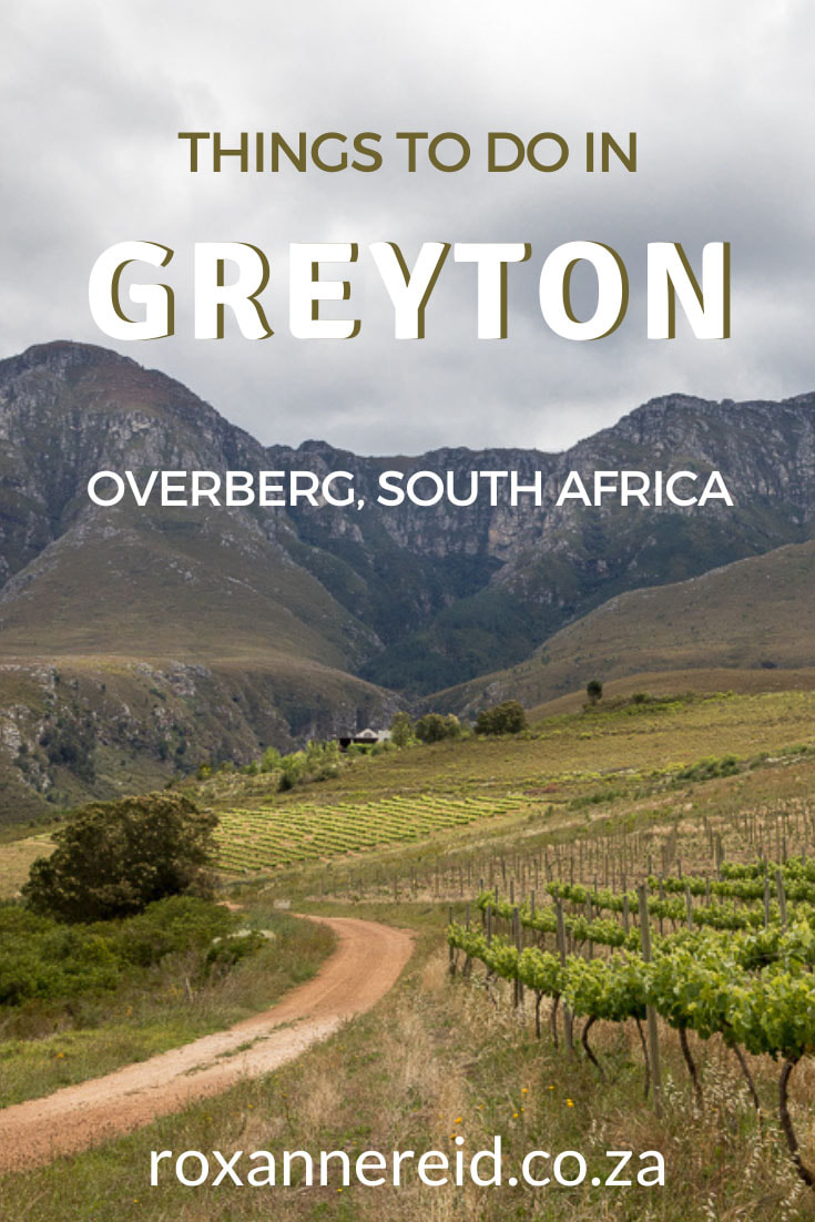 Visiting Greyton in the Overberg? Find out about Greyton accommodation, Greyton restaurants and the best time to visit Greyton, as well as lots of things to do. Hiking, mountain biking and birding are popular. You can also enjoy a historical village walk, visit the Moravian village of Genadendal nearby, taste chocolate, wine and craft beer, visit a morning market, as well as participate in events like the annual Art Walk, Greyton Rose and Garden Fair, and Pie Run Gravel Grinder mtb event.