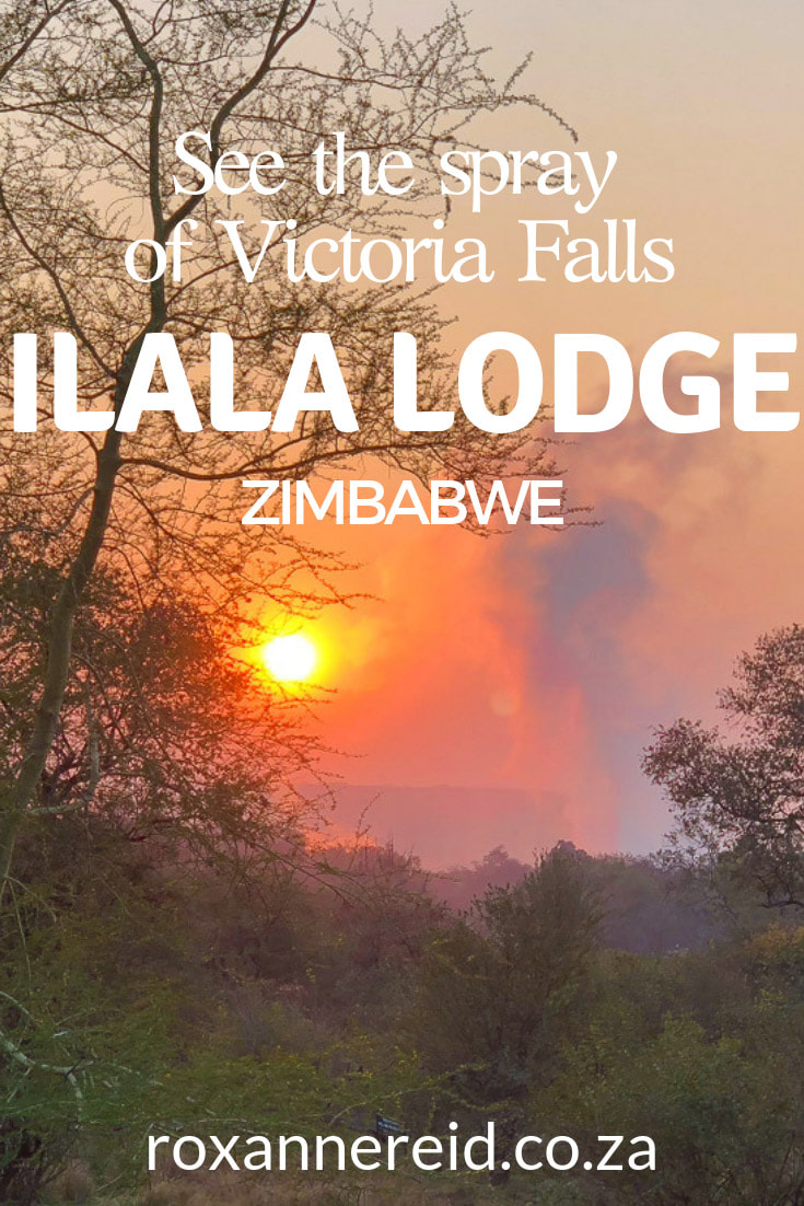 Stay at Ilala Lodge Victoria Falls and you’ll be just a short walk away from the UNESCO World Heritage Site of Victoria Falls. See the spray from the Falls from the lodge as you enjoy one of the nicest Victoria Falls lodges in this tourist town of Zimbabwe. Find out more about this Victoria Falls accommodation, Victoria Falls activities like a river cruise, bungy jump, helicopter ride, etc. #VictoriaFalls #zimbabwe #VictoriaFallslodges #africatravel #ilalalodge