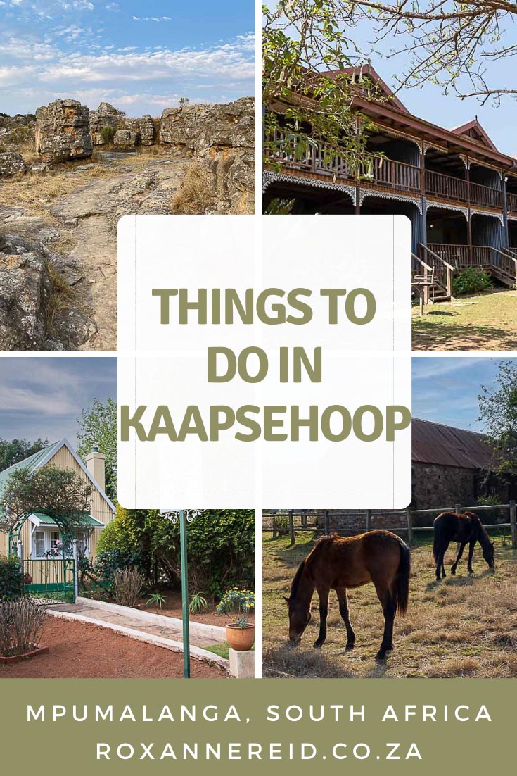 Visiting the Kruger National Park or Lowveld? Don’t miss stopping over at to see the Kaapsehoop wild horses, mist and a quaint little gold rush town. Other things to do in Kaasehoop are to walk to the Kaapsehoop waterfall, go horse riding or birding, visit Kaapsehoop restaurants, ride a scooter through the forest or visit the cemetery. Find out the best time to visit Kaapsehoop (also spelled Kaapschehoop) and lots more Kaapsehoop activities.