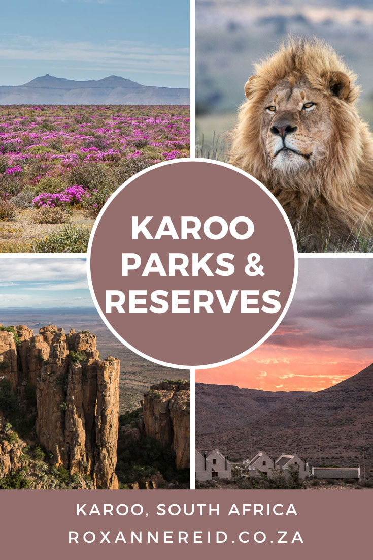 Planning to visit Karoo game reserves and parks for a Karoo safari? Discover some of the best reserves in South Africa’s heartland and what to do there: Anysberg Nature Reserve, Camdeboo National Park, Gamkaberg Nature Reserve, Karoo National Park, Tankwa Karoo, Mountain Zebra National Park, Roam Private Game Reserve, Sanbona Wildlife Reserve, Samara Private Game Reserve and Swartberg Nature Reserve (Gamkaskloof nature reserve).
