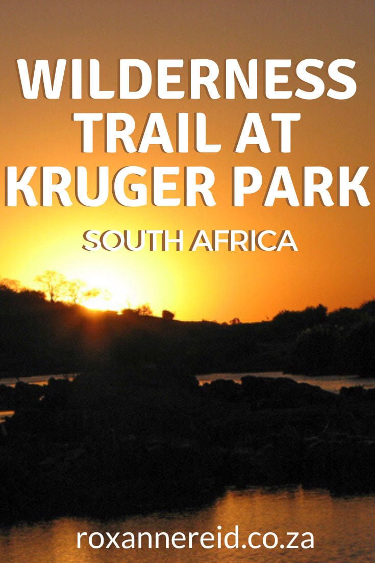 Love Kruger National Park? Looking for something different to do? Don’t miss walking a Wilderness Trail at Kruger Park to immerse yourself in the wild, use all your senses to appreciate the bush and learn about everything from the Big 5 and Little 5 to tracks, signs, plants and birds. Discover the Olifants Wilderness Trail and why it’s one of the special Kruger walking trails, find out what you need to know to recreate this experience, included what to pack, how to book and best time to visit. 