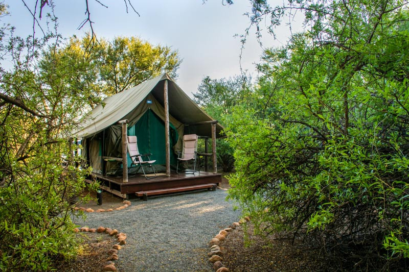 Graaff-Reinet accommodation: Lakeview Tented Camp in the Camdeboo National Park