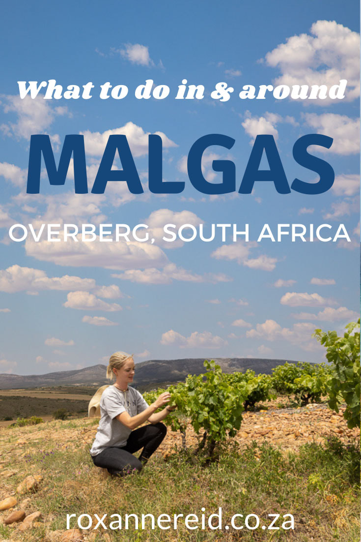 Visiting the Overberg? Find out things to do in Malgas, from river cruises, river rafting and wine tasting to crossing the Breede River on the Malgas pont (Malgas ferry), fishing, horse riding and bird watching. As for your Malgas accommodation, choose from the Malagas Hotel or hire a houseboat. In the greater Malgas area, visit Swellendam, the De Hoop Nature Reserve, Bontebok National Park, Infanta and Witsand. Go whale-watching or explore some restaurants.