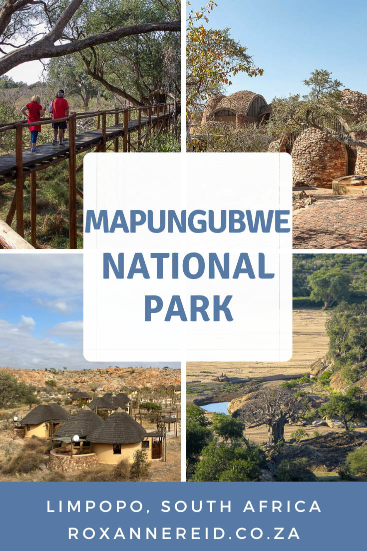 Visiting Mapungubwe National Park? Find out things to do and everything you need to know, from Mapungubwe accommodation like Leokwe Camp, Mazhou Camping site, Tshugulu Lodge, Vhembe Camp and Limpopo Forest Camp. Learn about Mapungubwe heritage site, Mapungubwe history and why Mapungubwe Hill is so culturally important. Visit this UNESCO World Heritage Site, join a guided drive to see wildlife, do a heritage tour, walking trail, birding. 