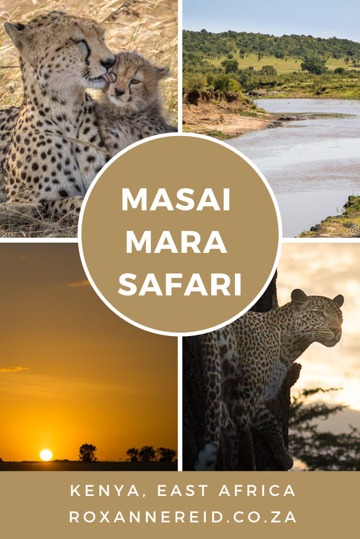 Safari thrills at Mara Expedition Camp, Masai Mara, Kenya