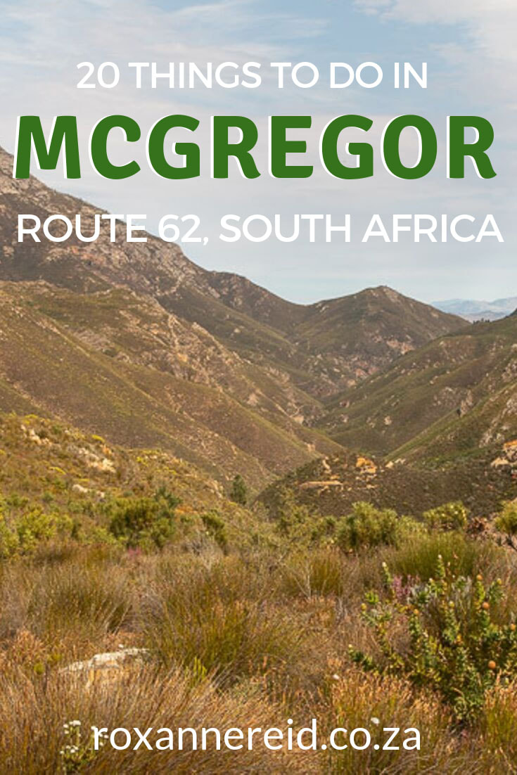 Wondering what things to do in McGregor when you visit this part of the Cape Winelands? Here are 20 things to do, from visiting McGregor Tourism info centre in McGregor village, to wine tasting, olive tasting, restaurants, hiking, cycling, heritage walks and more. Find out about McGregor accommodation and McGregor self catering accommodation here in the Robertson Valley of Route62, South Africa. #McGregorwines 