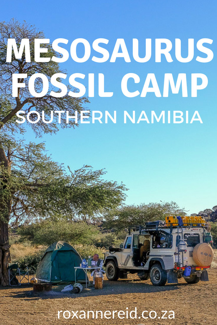 Looking for things to do and places to camp near Keetmanshoop in southern Namibia? Find out about Mesosaurus Fossil Camp’s bush camp, the Quivertree Forest and Giant’s Playground, Keetmanshoop accommodation and Namibia campsites. Go on a walking trail, a 4x4 trail, discover a Mesosaurus fossil, photograph unusual quiver trees and dolerite rocks, see wildlife, and enjoy stargazing. #namibia #quivertrees #MesosaurusFossilCamp #GiantsPlayground #Keetmanshoop #Namibiacampsites #campinginNamibia