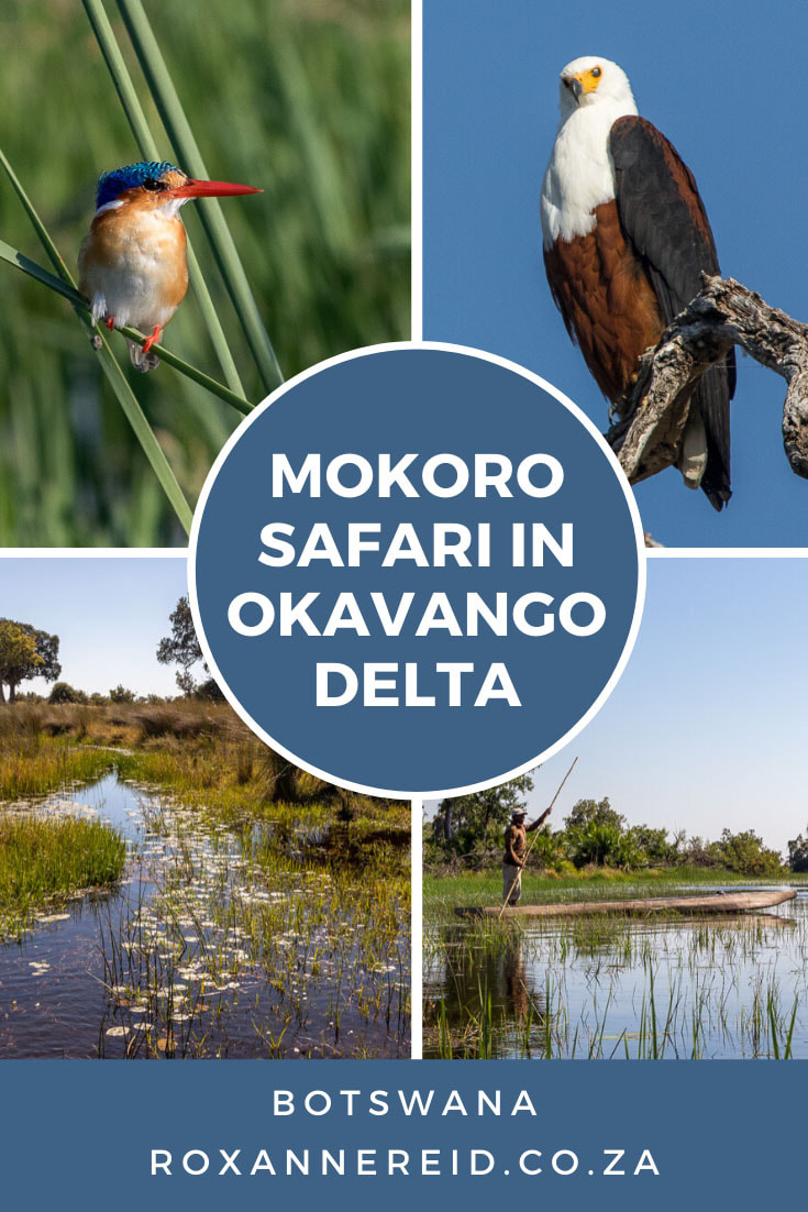 ro safari, Okavango Delta, Botswana #Botswana #Okavango #mokoro