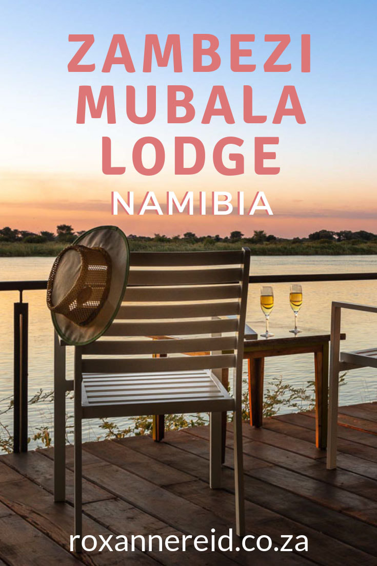 Want to visit the rivers of the Zambezi region of Namibia (Caprivi)? When choosing your lodges in Namibia, choose Zambezi Mubala Lodge for its views of the Zambezi River Namibia. At this Zambezi lodge 40km from Katimo Mulilo you can go for a boat cruise, watch the sunset, go bird-watching and tiger fishing. This Namibia accommodation offers fun and relaxation in equal measure. Book it for your Caprivi accommodation. #Caprivilodges