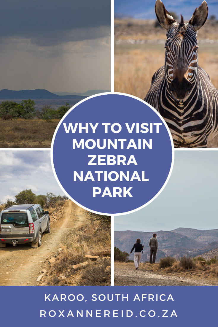 Why to visit Mountain Zebra National Park near Cradock, Karoo, #SouthAfrica #travel #safari #karoo  #nationalparks
