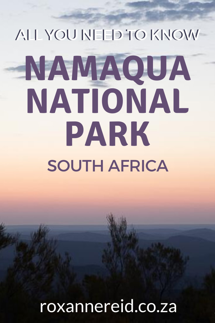 Visiting Namaqualand? Here’s everything you need to know about Namaqua National Park, including Namaqualand flowers, Namaqua National Park accommodation and camping, getting there and getting around, best time to visit. Find things to do like seeing the carpets of flowers in spring, quiver trees, beach camping in the coastal section, Caracal 4x4 Eco-Route, hiking trails, animals and local people.