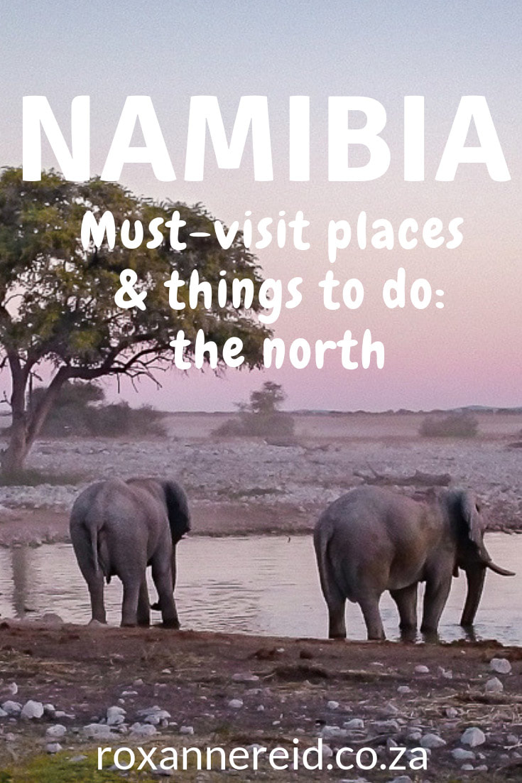 Spending your holidays in Namibia? Discover places to visit and things to do in northern Namibia, including dry desert in the west and rivers in the east. Find out about #Namibia points of interest like Spitzkoppe, Twyfelfontein UNESCO World Heritage Site, Himba culture, ancient welwitschia plants, desert-adapted elephants and rhino, Epupa Falls, Namibia national parks like #Etosha National Park, and the rivers and wildlife of Zambezi (Caprivi). Some road trip tips, best time to go to Namibia.