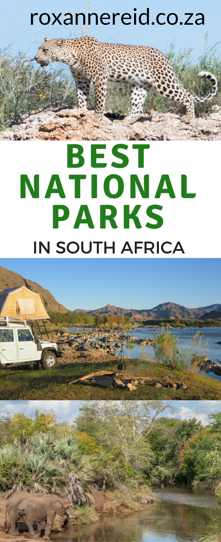 5 of the best national parks in SouthAfrica and why you should visit  #nationalparks #travel #safari #wildlife
