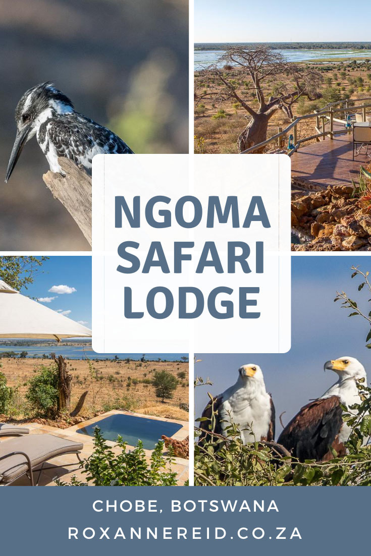 Safari for two at Ngoma Safari Lodge, Chobe, Botswana #Chobe #NgomaLodge #botswana